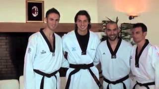 Zlatan Ibrahimovic ● Taekwondo Goals [upl. by Oeramed]