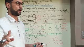 Geneticslecture 24  autopolyploidy and allopolyploidy [upl. by Rhett]