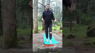 Yoga Manali Tadshan Vanvihar Manali morningroutine [upl. by Tletski]