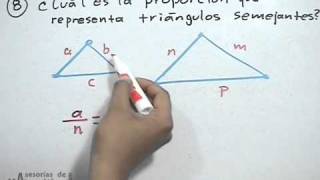 Identificar triángulos semejantes│ej 2 [upl. by Ezarra478]