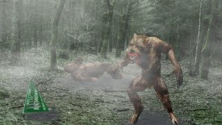 Cryptid Spotlight The Dogman [upl. by Gravante]