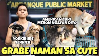 MGA BAGONG PETS SA ARRANQUE UPDATE NATIN  JULY 04 2024 [upl. by Voccola]