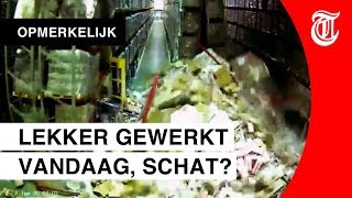 Blunderende magazijnmedewerker opnieuw viral [upl. by Matthaus]