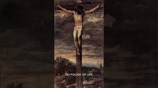 Divine Mercy 3 O’Clock Prayer catholic divinemercy cross prayer jesusitrustinyou goodfriday [upl. by Gold363]