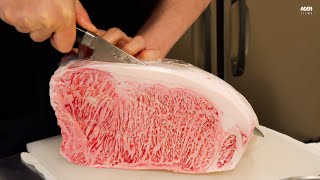 Rare Yamagata Wagyu A5  Teppanyaki in Japan [upl. by Us]