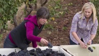 Willamette Valley Vineyards Wine Enthusiast Owners [upl. by Vergos]