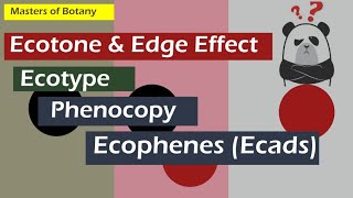 Confusing Terms  Ecotype  Ecophene  Ecads  Phenocopy  Ecotone amp Edge Effect [upl. by Ennovyhc345]