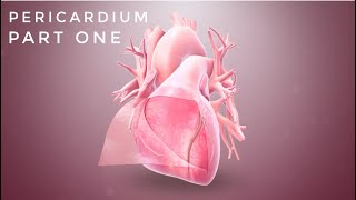 PERICARDIUM  Part1  Fibrous Pericardium  Serous Pericardium [upl. by Cowen]