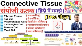 Connective Tissue in hindi  Types of Connective Tissue  Function of Connective Tissue  Notes [upl. by Ynafets]