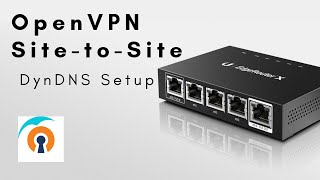 OpenVPN sitetosite on Edgerouter DynDNS Setup [upl. by Aner]