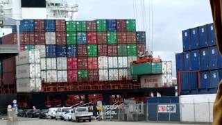 Rotterdam Port  ECT Cranes loading a Ship  Automated Container Carriers [upl. by Tobiah]