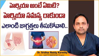 హెర్నియా అంటే ఏమిటి  Symptoms and Treatment of Hernia in Telugu  Treatment Range Hospital [upl. by Ahtrim]