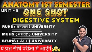 ONE SHOT ANATOMY REVISION CLASS I B Sc NURSING DIGESTIVE SYSTEM IN HINDI  NURSING LECTURE 2024 [upl. by Fiann292]