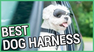 Best Dog Harness  5 Best No Pull Dog Harnesses 2021 🐶 ✅ [upl. by Ecirahc952]