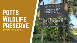 Potts Preserve  Inverness Florida [upl. by Elokcin759]