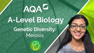 AQA A Level Biology Meiosis [upl. by Leasia]