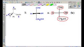 fischer projection basics [upl. by Daugherty]