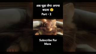 After all this the rat thinks of revenge Part  2  shorts movieexplainedinhindi [upl. by Hahnke]