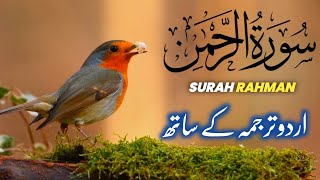 SURAH RAHMAN TARJUMA KE SATH QARI AL SHAIKH ABDUL BASIT ABDUL SAMAD  SURAH AL RAHMAN  EPI  077 [upl. by Nicolais]