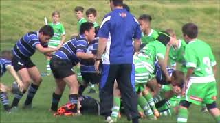 Manawatu Under 11 Rugby v Wanganui [upl. by Bergin]