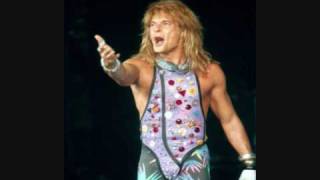 David Lee Roth Yankee Rose Live in Finland 99 [upl. by Llewol]