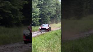 Kielder Forest Stages rallying shorts fyp forestrally rallylife [upl. by Ahcsatan]