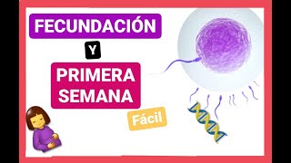 ✅FECUNDACIÓN 1ra SEMANA del DESARROLLO EMBRIONARIO Curso de EMBRIOLOGÍA Humana clase 3 🤰🏼👶🏼 [upl. by Newhall333]