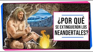 ¿Por qué se extinguieron los neandertales  ANTROPOLOGÍA [upl. by Furtek]