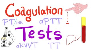 Coagulation Tests  PT aPTT TT Fibrinogen Mixing Studies [upl. by Ariik498]