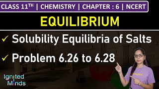 Class 11th Chemistry  Solubility Equilibria of Salts  Problem 626 to 628  Chapter 6  NCERT [upl. by Rawdin]