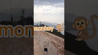 Gouraya Fort  Béjaïa  حصن قوراية ، بجاية anglais summer travel entertainment le [upl. by Tteraj]