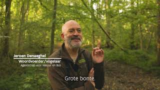 Week van het Bos  Spechten  Natuur en Bos [upl. by Giliane]