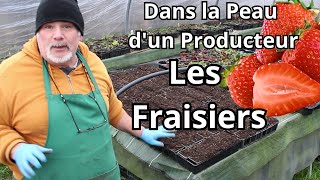 En Direct de la Pépinière  Mon Tutoriel Complet sur le Rempotage des Fraisiers [upl. by Margaret]