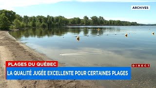 Estil sécuritaire de se baigner dans leau des plages du Québec  entrevue [upl. by Seuqramed627]