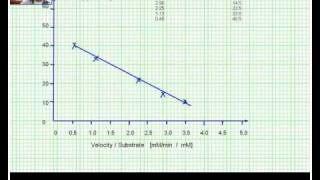 Eadie Hofstee plot data analysis [upl. by Ashlan980]