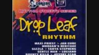 Drop Leaf Riddim Mix [upl. by Aura70]