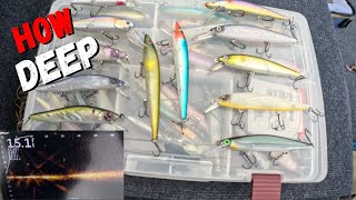 LiveScope Jerkbait Test How DEEP Do They REALLY DIVE [upl. by Wolff]