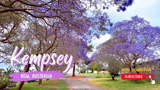 Kempsey main street Aussie Town  Explore Aussies Town KEMPSEY in NSW Australia 🇦🇺 australia [upl. by Yehudit]