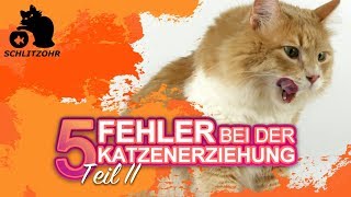 🔥5 Fehler in der Katzenerziehung  Tipps zur Erziehung von Katzen  Katze erziehen  Teil 2 [upl. by Yevre]