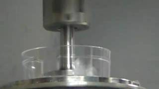 Shear rheometric test on polyacrylamide hydrogels 3 [upl. by Onabru251]