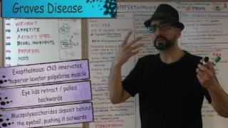 Thyroid Hormone Part 3  Hyperthyroidism  Endocrine 8  Med School Mondays with PROMO [upl. by Ameer852]