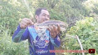 mancing casting ikan gabus dan toman bersama angler siantar spot istimevvah [upl. by Boesch121]