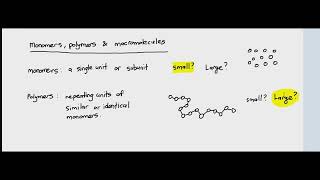 22 Monomers Polymers and Macromolecules Cambridge International AS amp A Level Biology [upl. by Kaete]