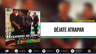 Déjate Atrapar Binomio De Oro De América  Audio [upl. by Teteak]