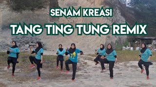 TANG TING TUNG REMIX  SENAM KREASI  setia aerobic [upl. by Notffilc560]