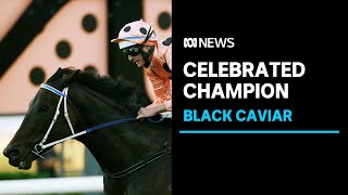 Black Caviar win  22  Diamond Jubilee Stakes Royal Ascot 2012 [upl. by Custer942]