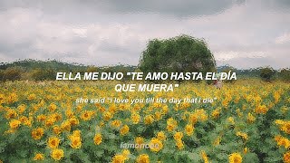 Rex Orange County  Sunflower sub español [upl. by Mall]