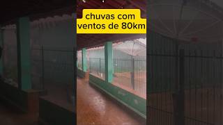 80 KM POR HORA chuvas chuvadevento chuvaevento chuva ventoforte vento alerta noticias medo [upl. by Stig]