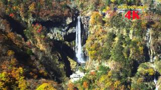 4K DEMO ULTRAHD AUTUMN STREAM 4K映像 紅葉 滝 渓流 3840×2160 [upl. by Willett]