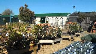 Burford Garden Centre [upl. by Cul]